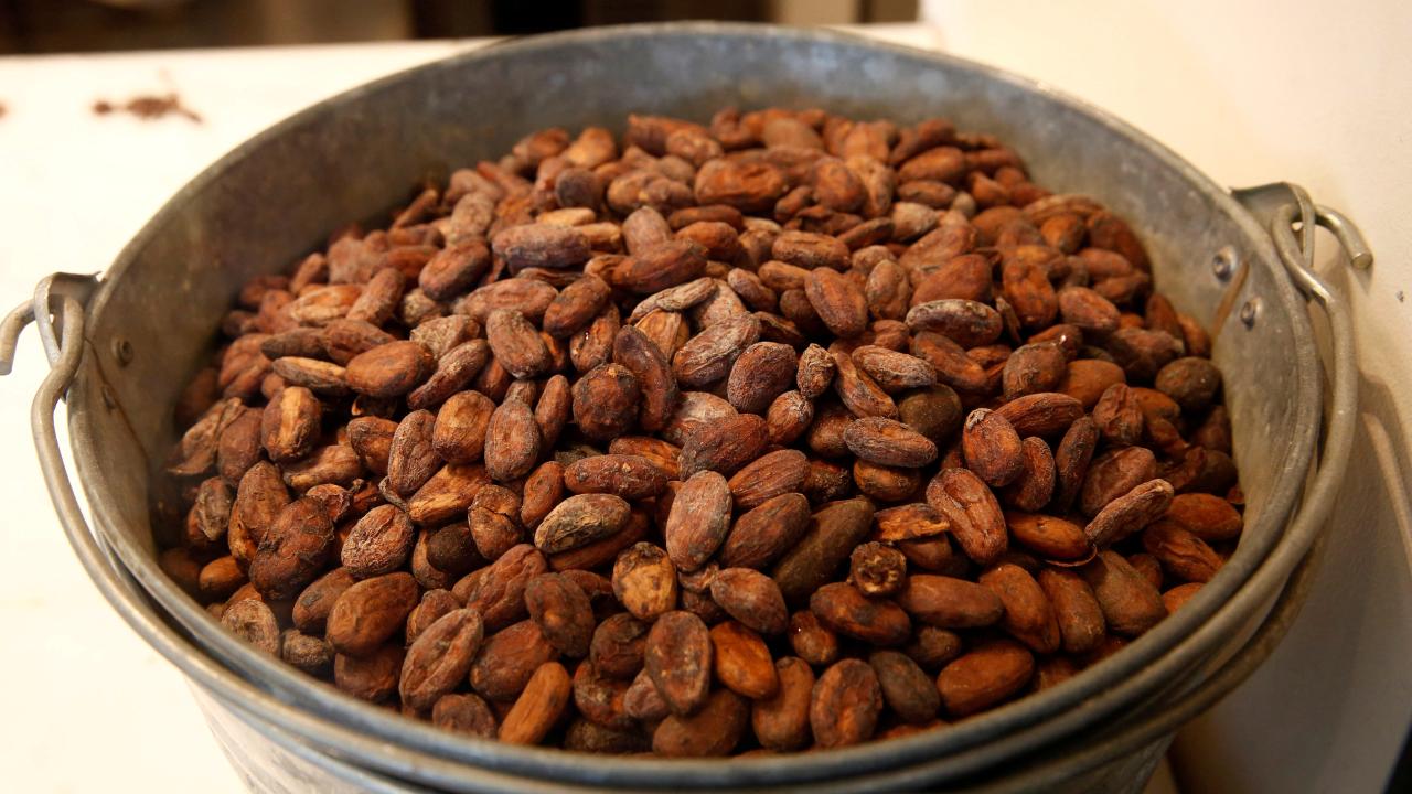 Cacao. Foto: Reuters. 