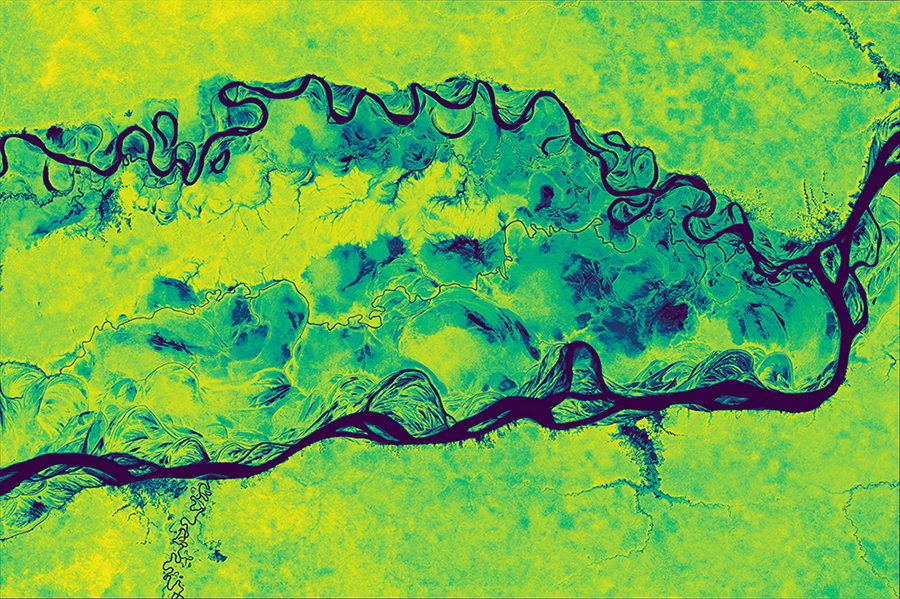 Aboveground Carbon Density in Amazonas State • Brazil • March 4, 2025 • Planetary Variables