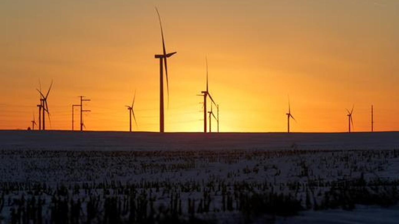 A wind farm shares space with corn fields the day before the Iowa caucuses.