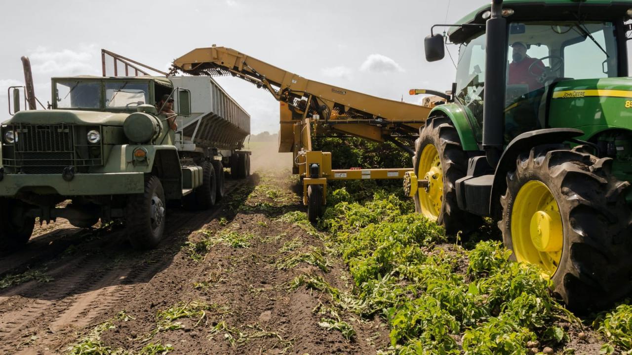 Agricultura. Foto: Pexels.