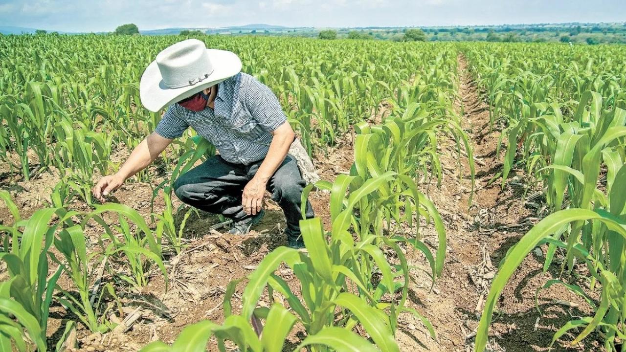 Fuente: El Economista