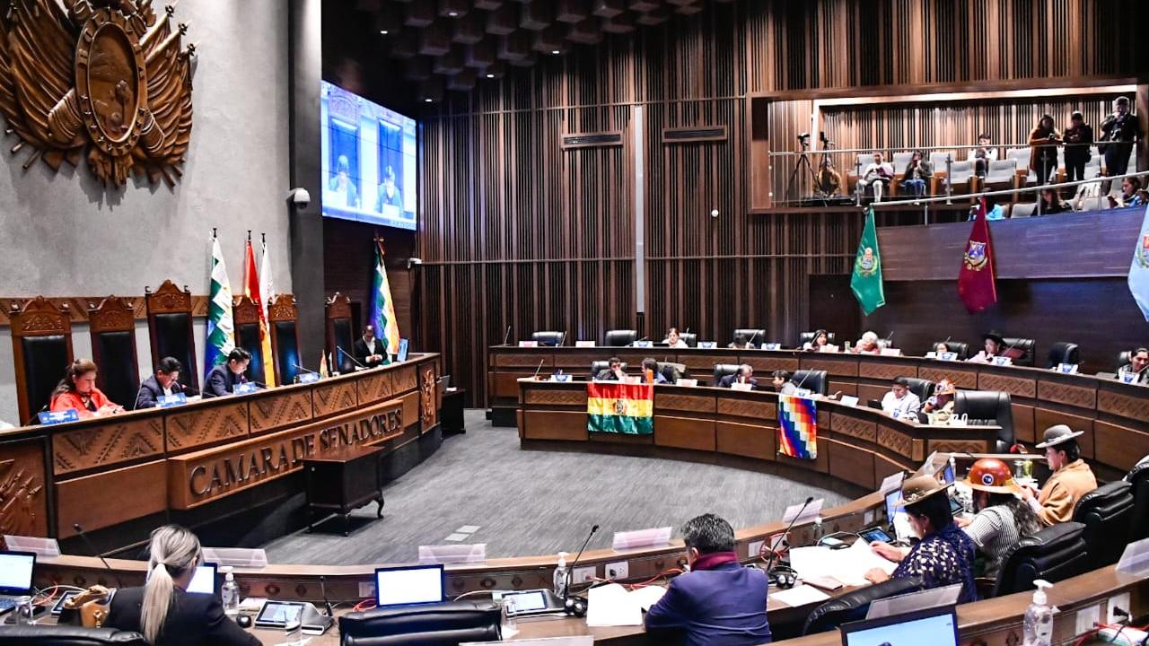 Senado de Bolivia vía X. 