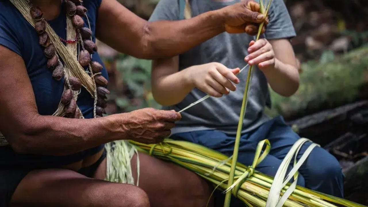 Fuente: Gobierno de Ecuador