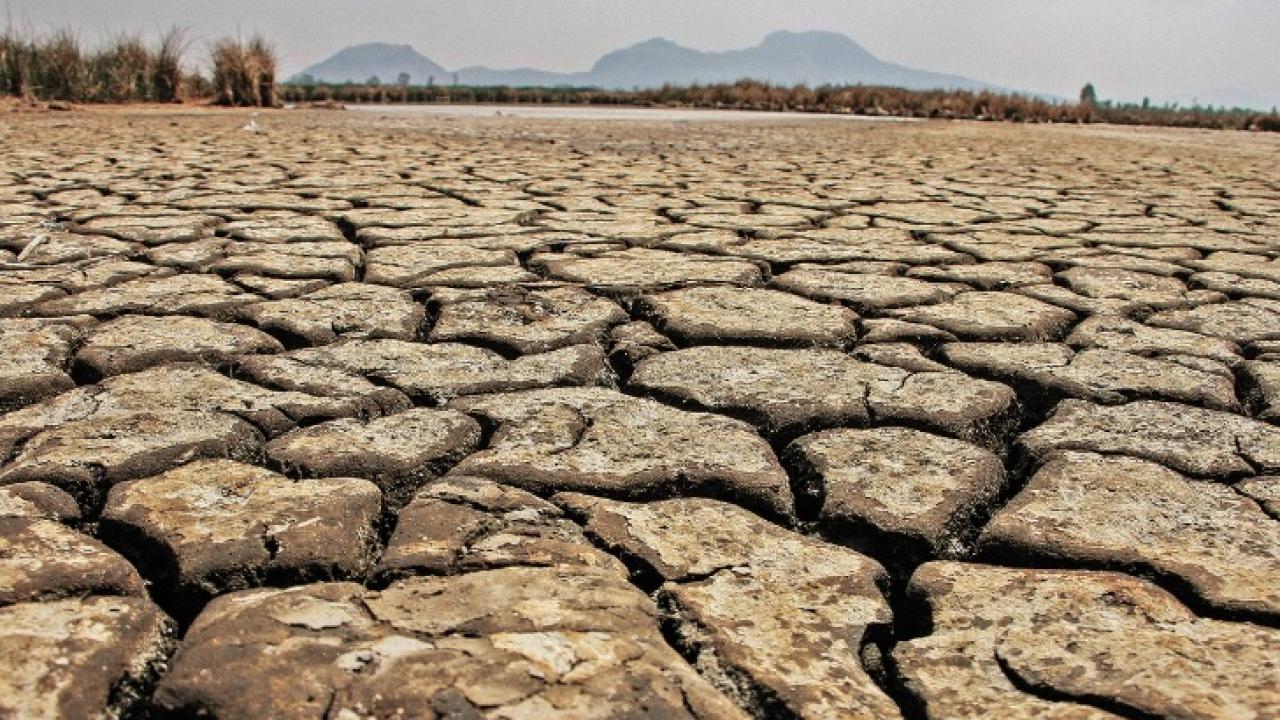 crédito foto El Economista México sequía