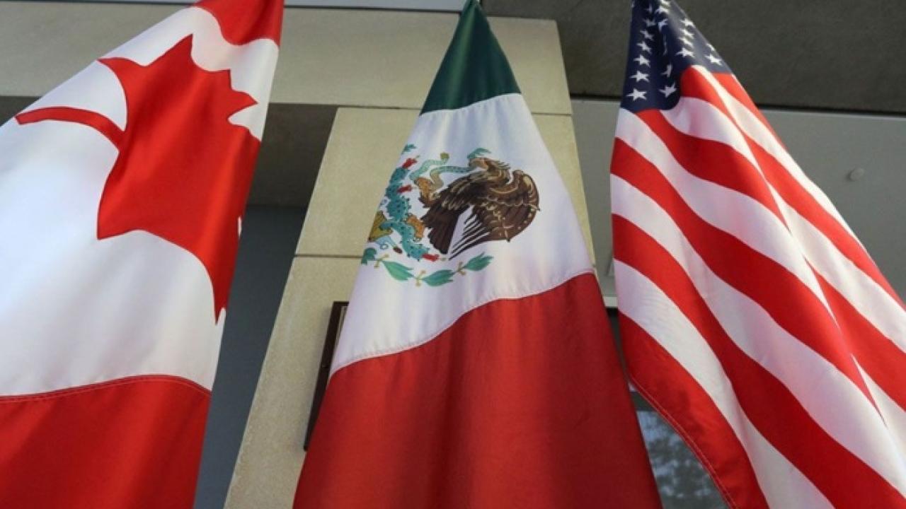 banderas tmec foto El Economista México