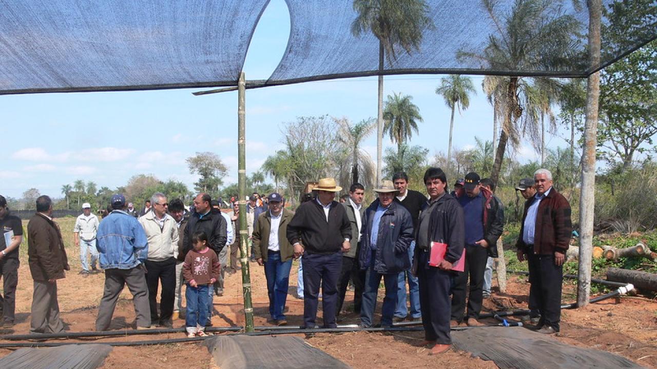 crédito foto  Ministerio de Agricultura y Ganadería Paraguay, derechos reservados