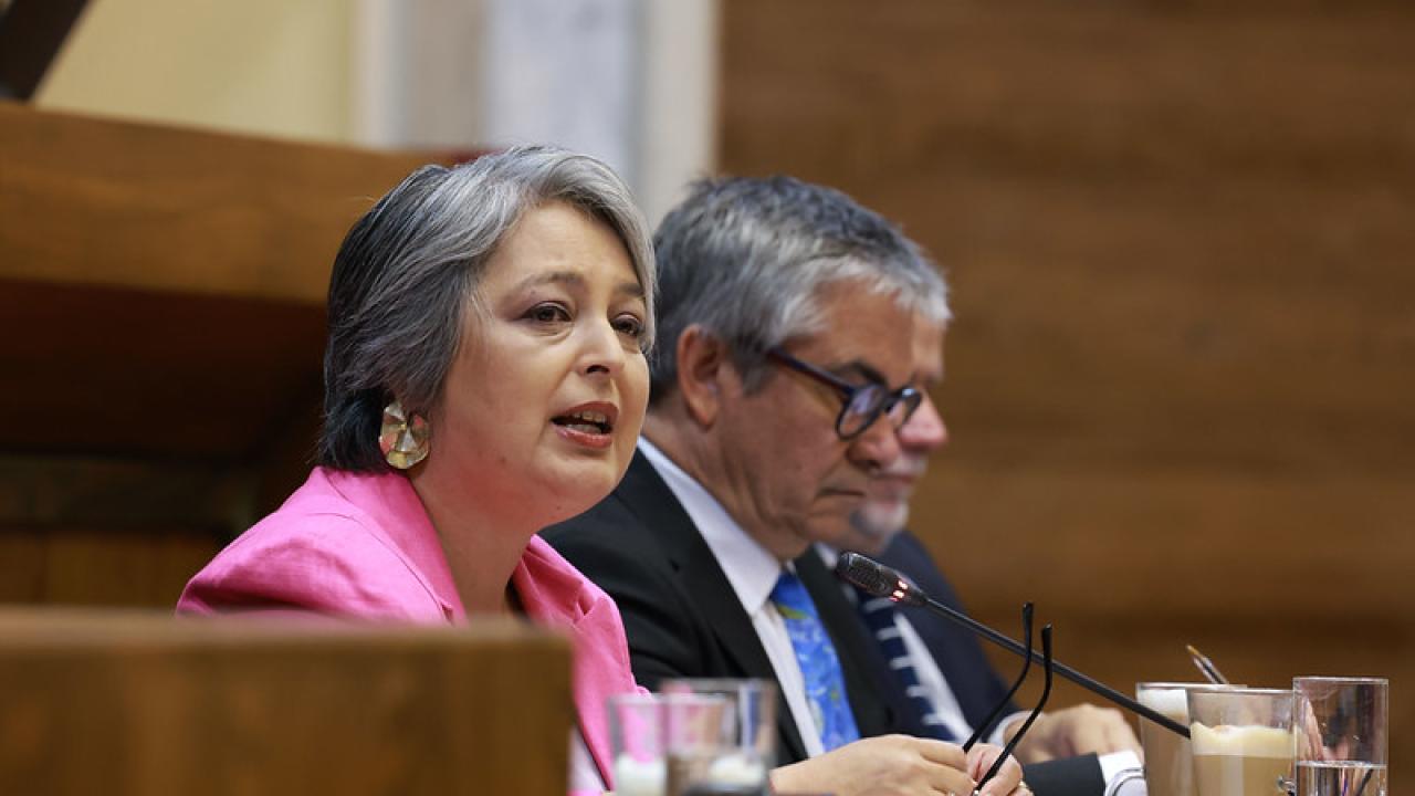 Foto Cámara de Diputados Chile