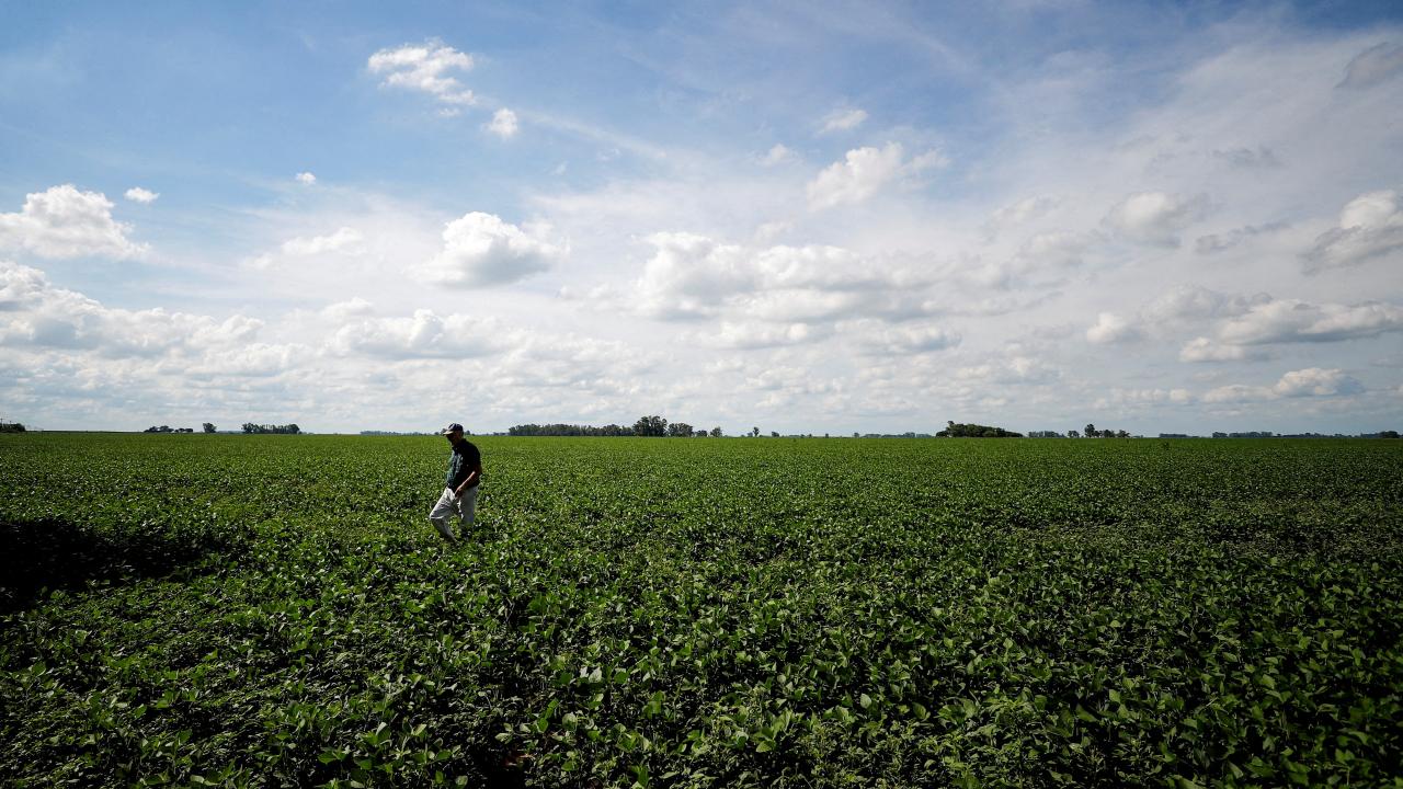 Argentina evalúa restablecer tipo de cambio especial para productores de soja