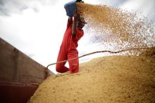 Cosecha agrícola. Foto: Reuters. 