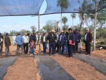 crédito foto  Ministerio de Agricultura y Ganadería Paraguay, derechos reservados